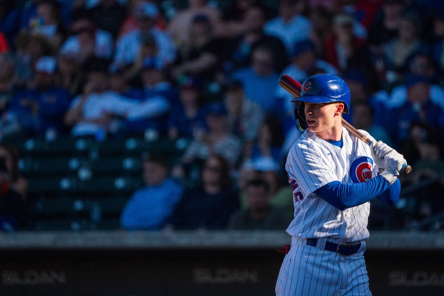 Anthony Rizzo - Chicago Cubs baseball player, Fielding Bible award player,  Chicago Cubs team