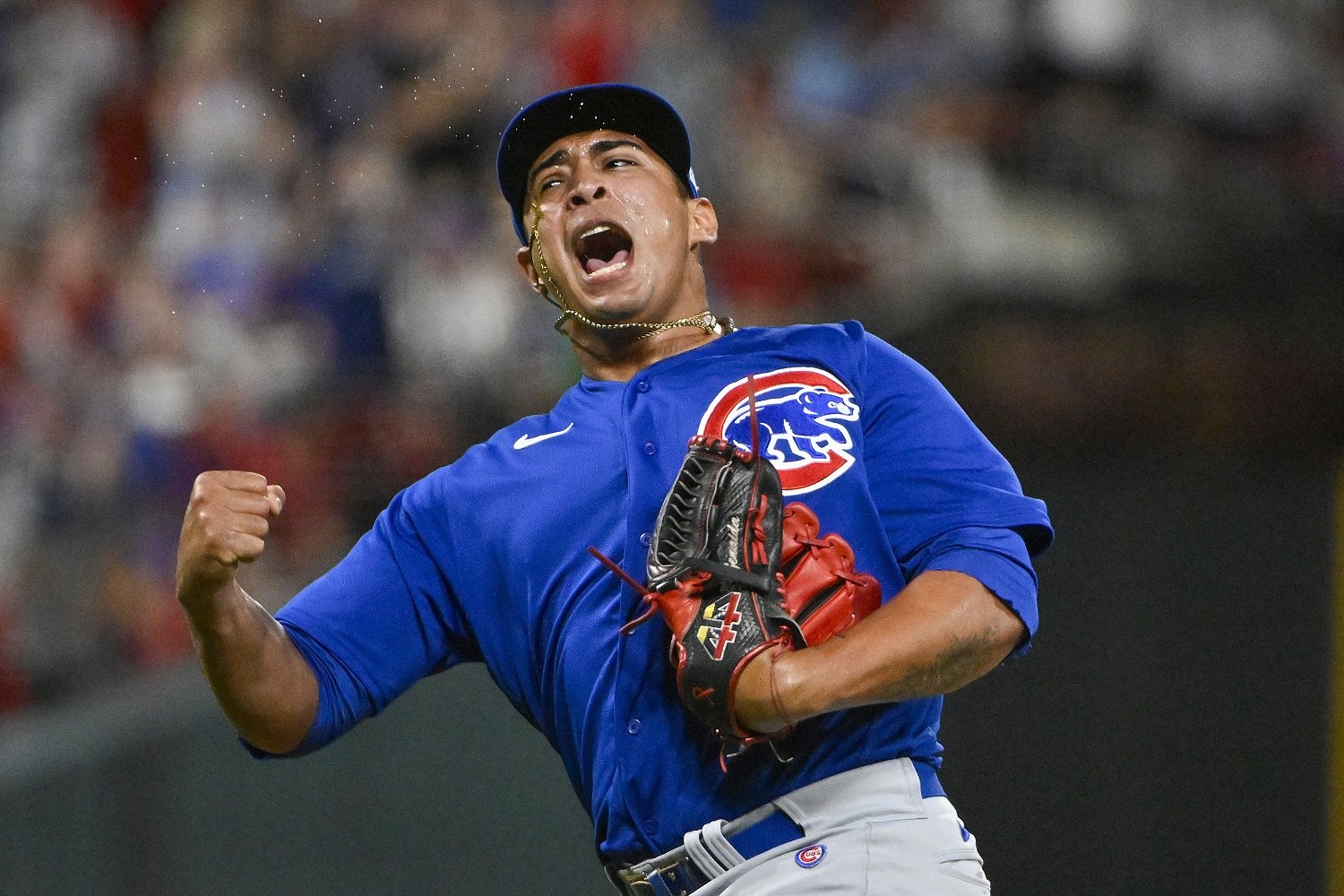 Chicago Cubs MILB Relief Pitcher of the Year - 2023 - Cubs - North Side  Baseball