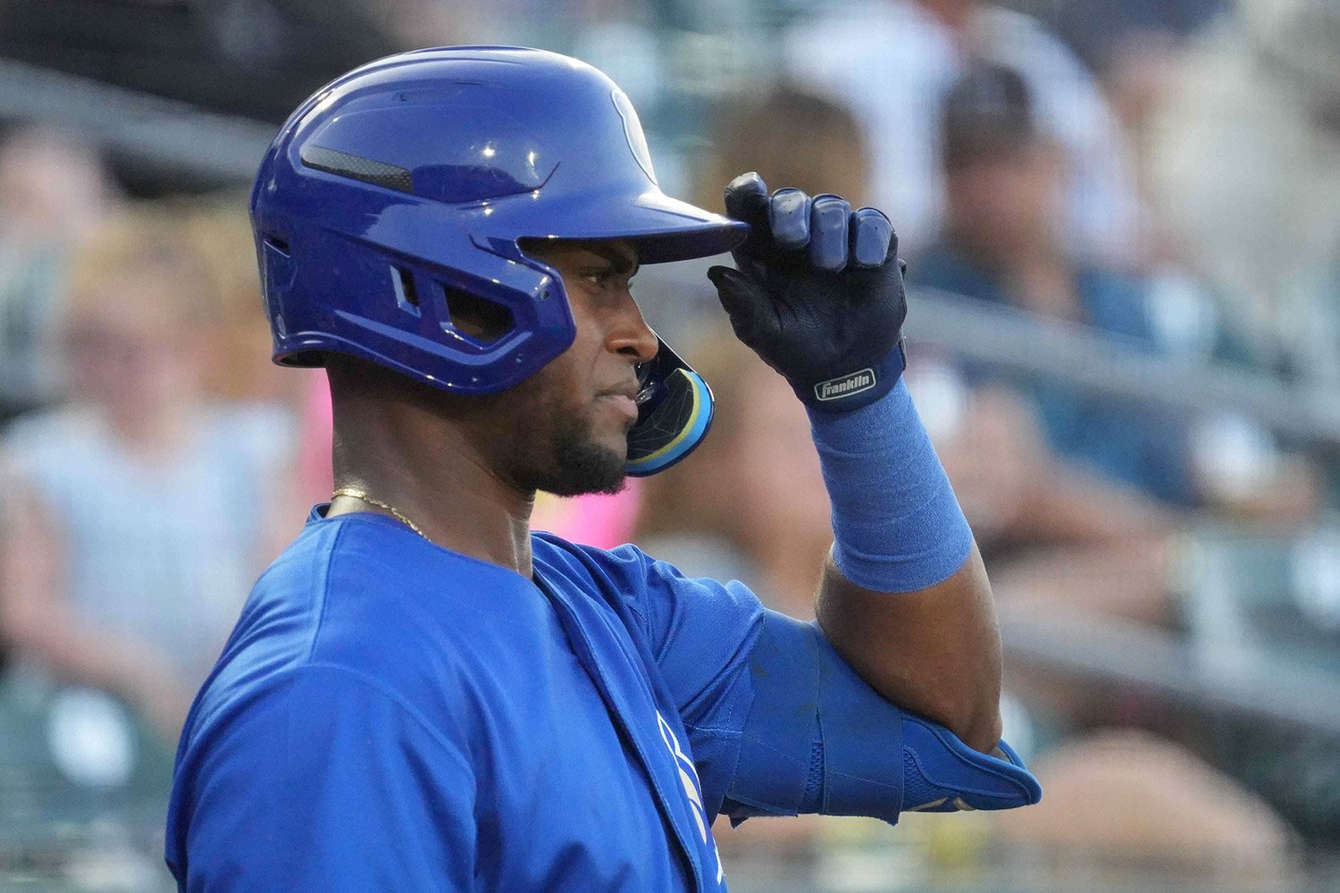 Cubs Name Alexander Canario, Luke Little Minor League Player and