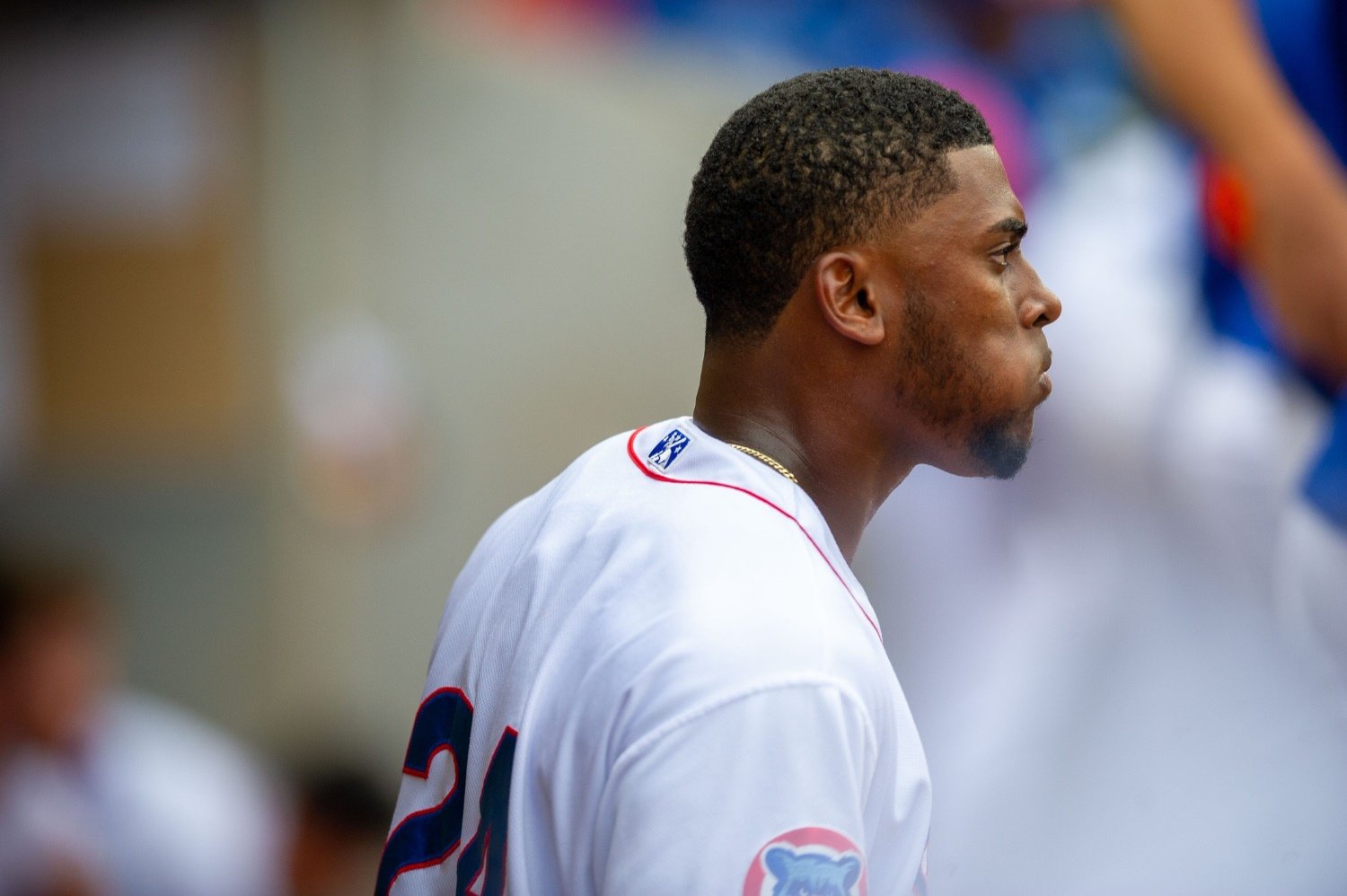 Cubs Roster Moves: Jeimer Candelario to IL, Alexander Canario