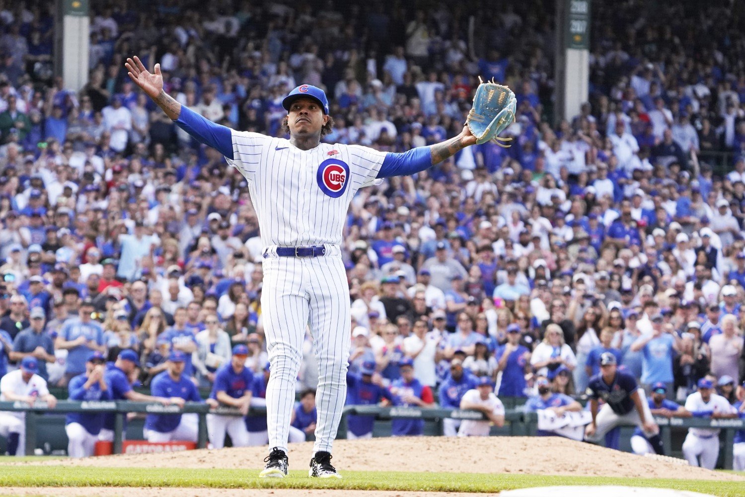 MLB Cubs Split Customized Men Jersey