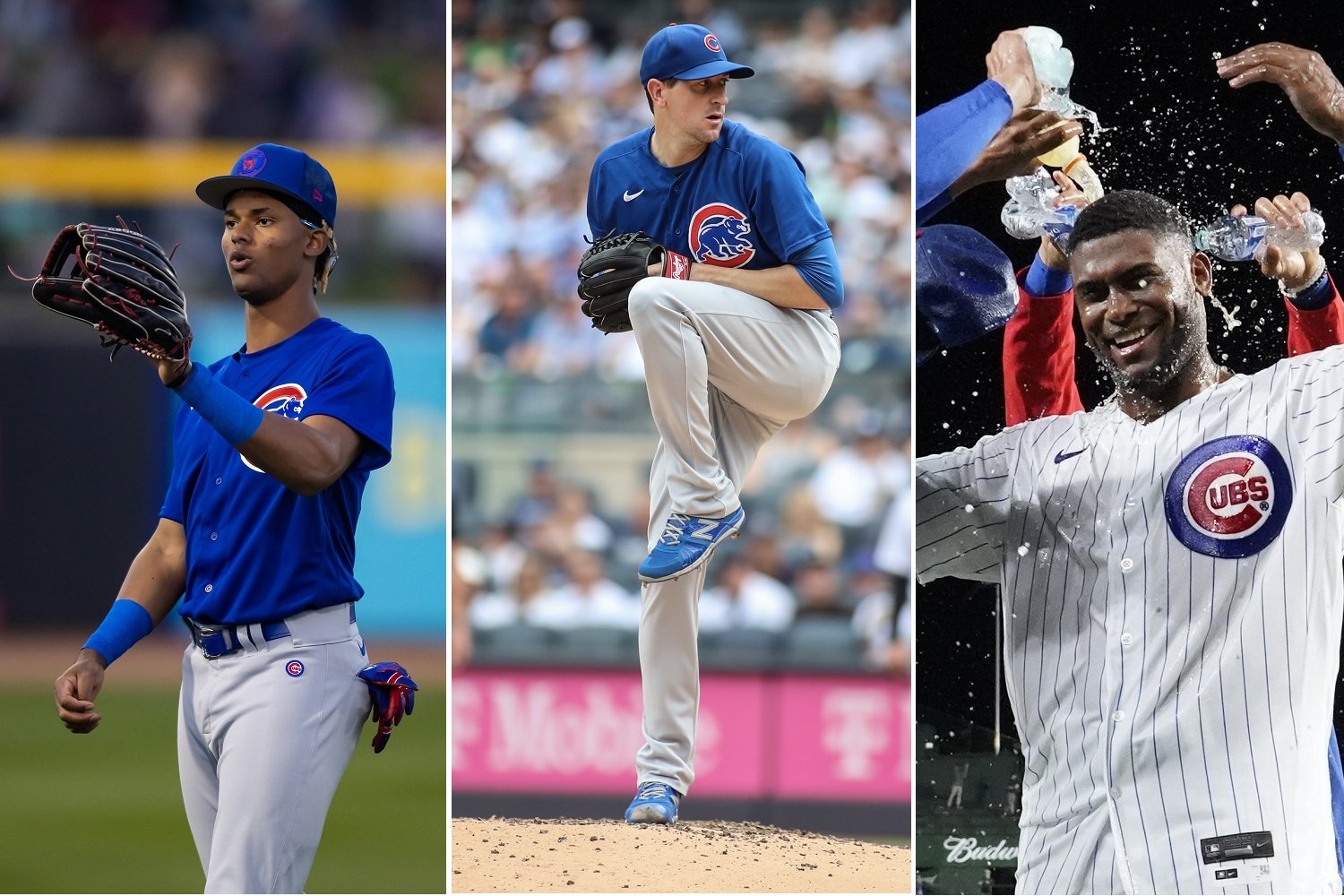 The Top 20 Chicago Cubs Player Assets of 2024 Part 1 (1620) Cubs