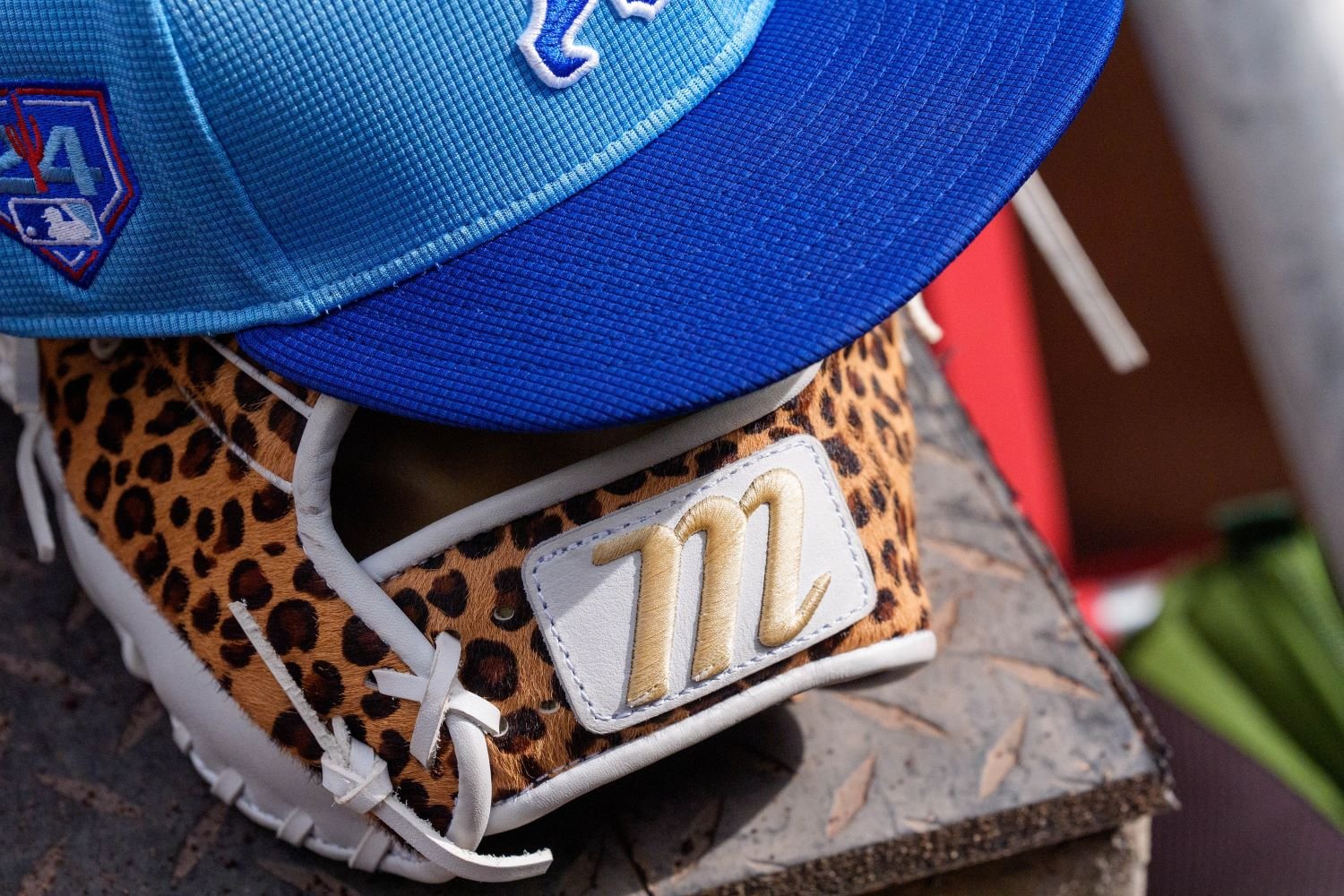 Power Ranking the Watchability of the 2024 Chicago Cubs MinorLeague