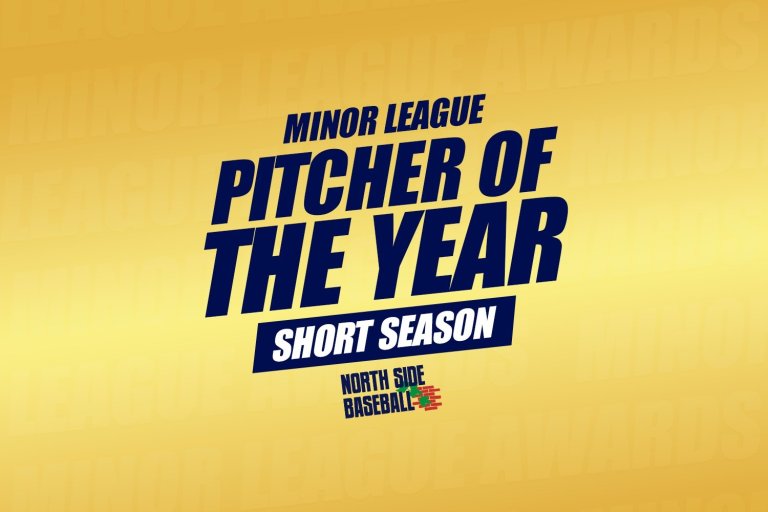 Cubs Short Season Minor League Pitcher of the Year - 2024