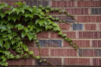 How Wrigley Field Grounds Crew Preserves and Winterizes the Park Each Offseason