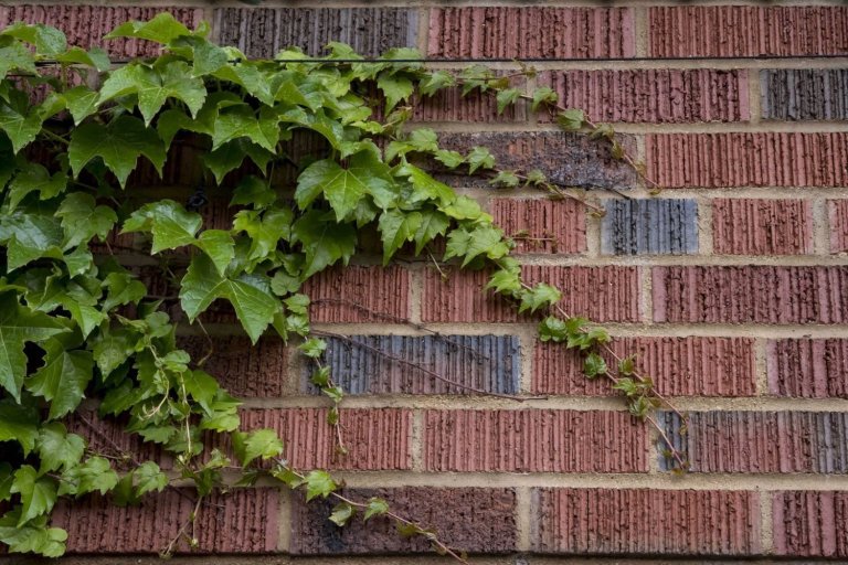 How Wrigley Field Grounds Crew Preserves and Winterizes the Park Each Offseason