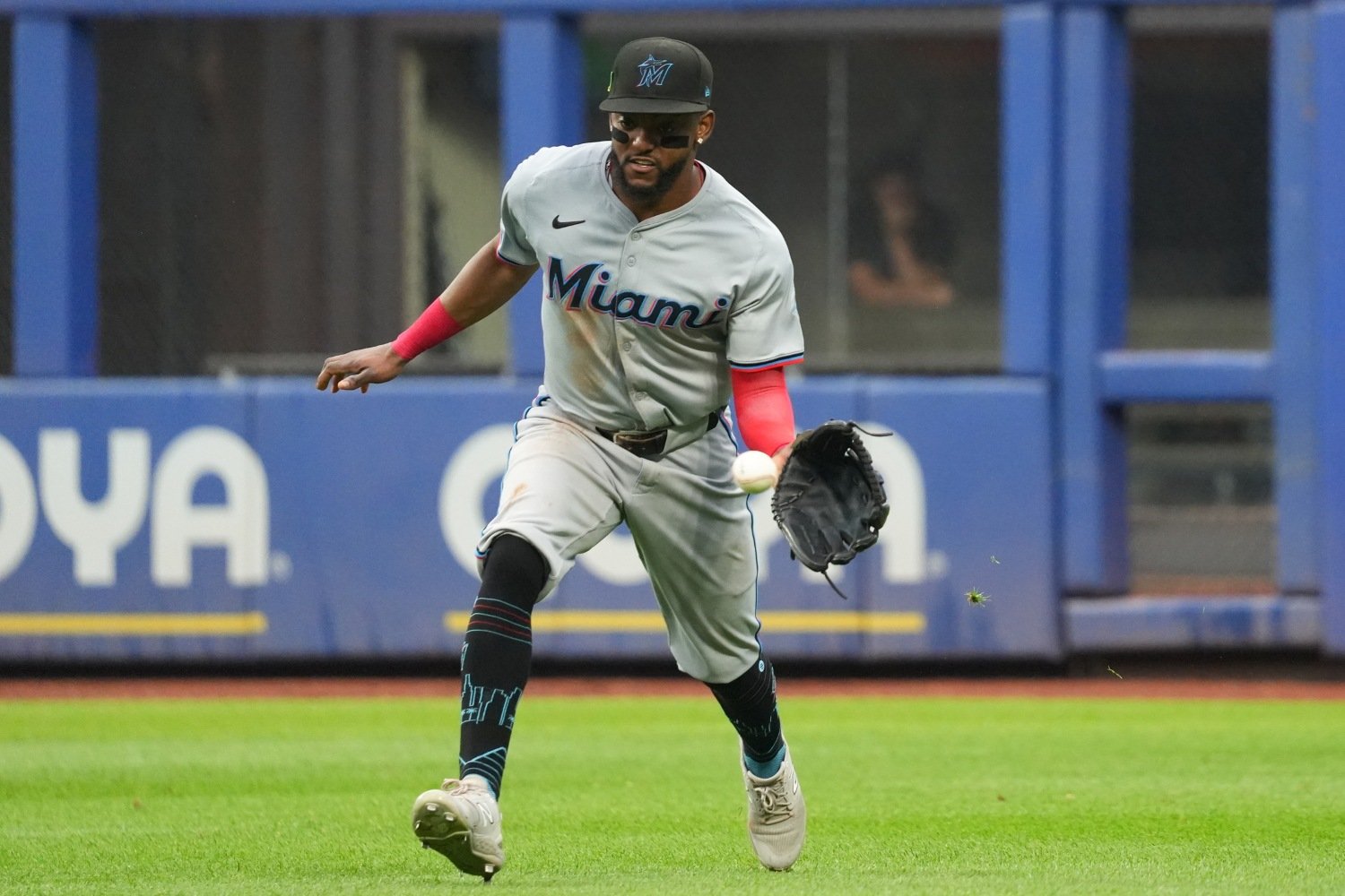 TRADE: Cubs Acquire Utility Man Vidal Brujan from Marlins for Matt ...