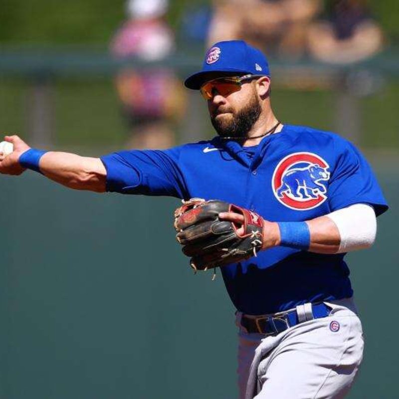 More information about "Jason Kipnis"