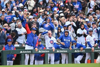 Jed Hoyer Has Learned His Lesson and the Cubs Have Finally Stabilized Their Bench