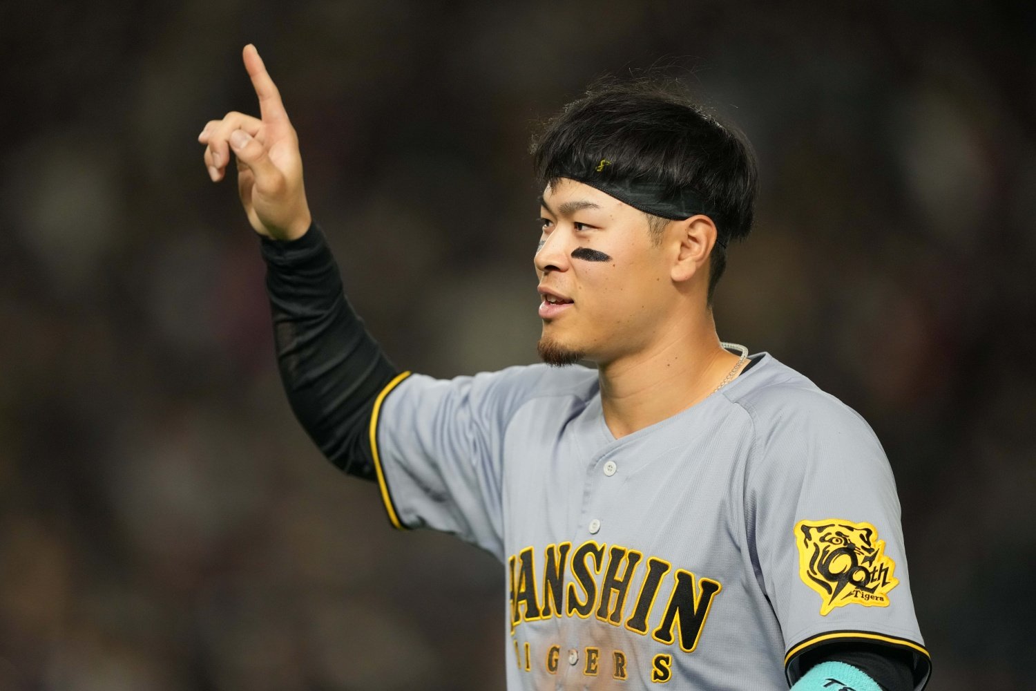 More information about "Teruaki Sato is Headed West. Does he make sense for one of the Chicago Cubs' outfield openings?"
